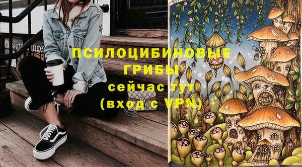 бошки Богородицк