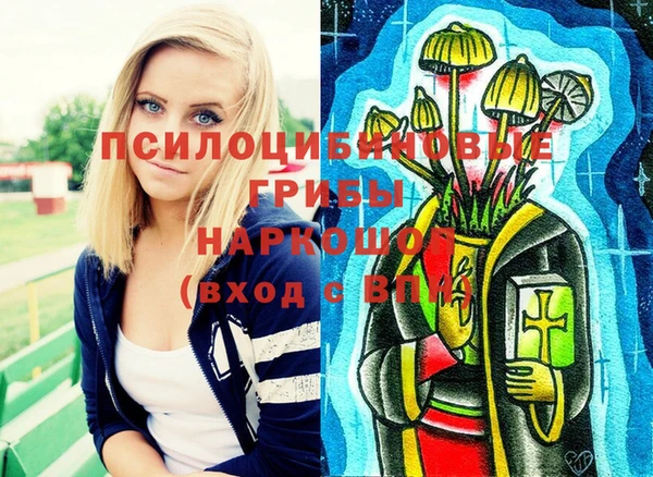 бошки Богородицк