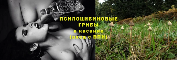 бошки Богородицк