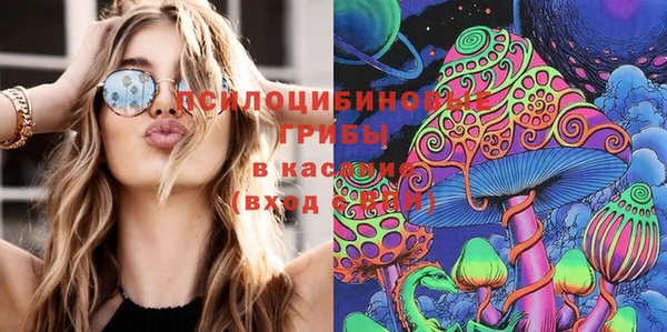 бошки Богородицк