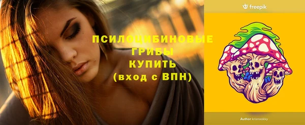 бошки Богородицк